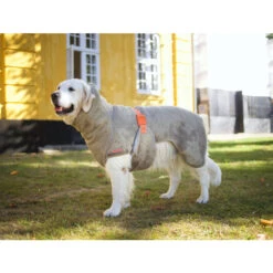 Siccaro WetDog SupremePro 2.0 38 Siccaro WetDog SupremePro 2.0 -Hondenbenodigdheden Winkel siccaro wetdog supremepro 20 216997 2000 none