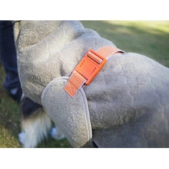 Siccaro WetDog SupremePro 2.0 41 Siccaro WetDog SupremePro 2.0 -Hondenbenodigdheden Winkel siccaro wetdog supremepro 20 216999 2000 none