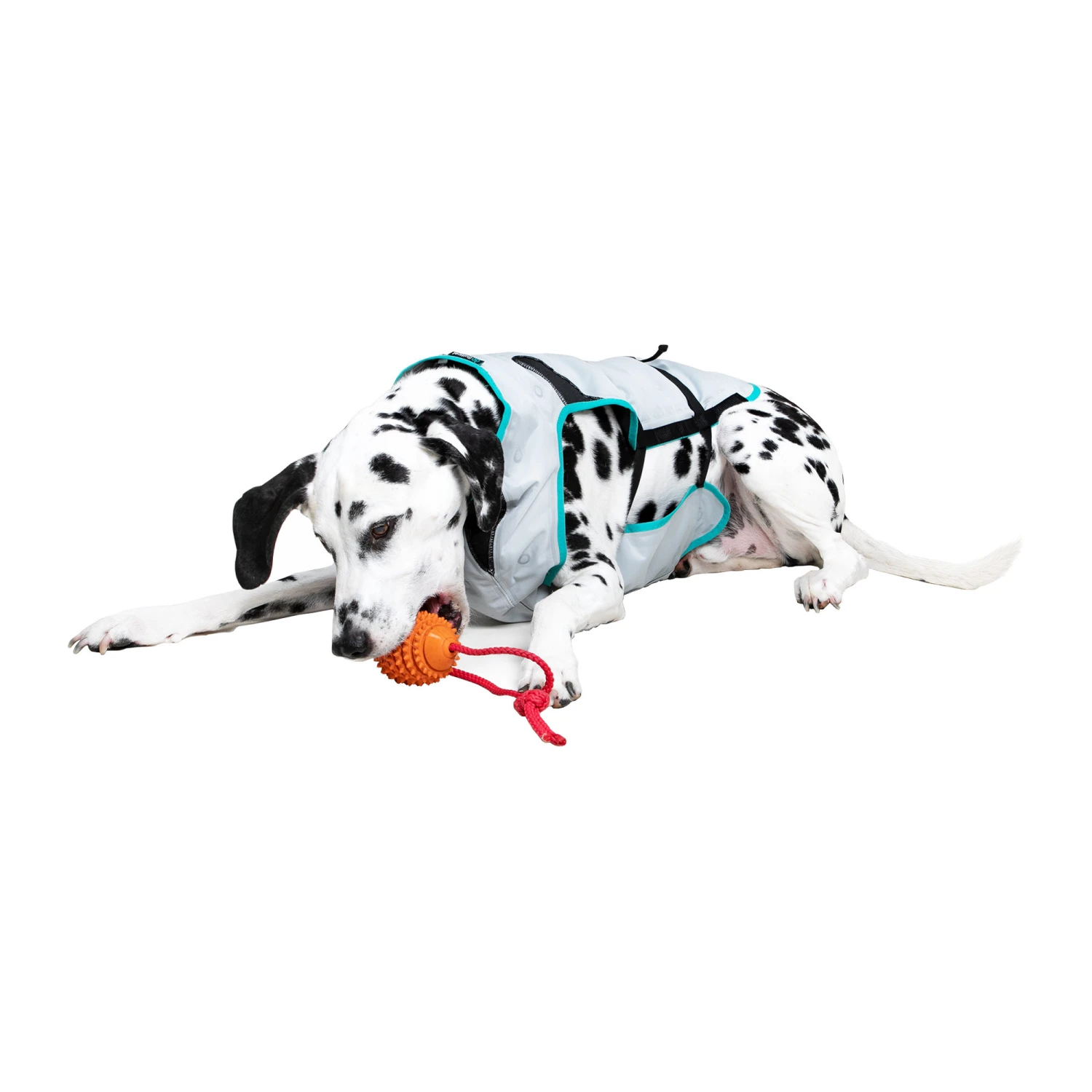 Suitical DRY Cooling Vest 10 Suitical DRY Cooling Vest - Afbeelding 8