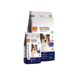 Biofood BF®Petfood Lam & Rijst -Hondenbenodigdheden Winkel t61SNTYTyka4mRzK3GK47l3CFtZVoH metaYmZwZXRmb29kX2xhbV9yaWpzdF9vdmVyemljaHQuanBn