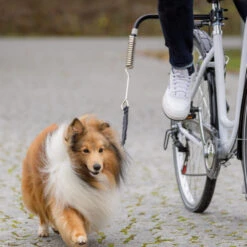 Trixie Fiets-Set U-Vorm -Hondenbenodigdheden Winkel trixie fiets set u vorm 186019 1000 none