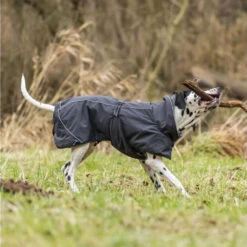 Trixie Hondenjas Calvi 29 Trixie Hondenjas Calvi -Hondenbenodigdheden Winkel trixie hondenjas calvi 207467 1000 none