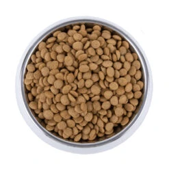 Vetality Skin Support - Hondenvoer -Hondenbenodigdheden Winkel vetality skin support hondenvoer 195221 1000 none