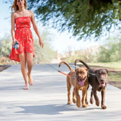 Wigzi Dual Doggie 2.0 -Hondenbenodigdheden Winkel wigzi dual doggie 20 167836 1500 none