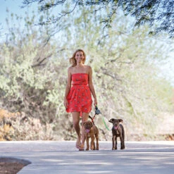 Wigzi Dual Doggie 2.0 -Hondenbenodigdheden Winkel wigzi dual doggie 20 167839 1500 none