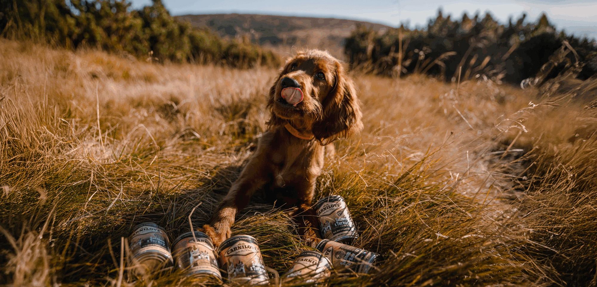 Hondenbenodigdheden Winkel -Hondenbenodigdheden Winkel 1